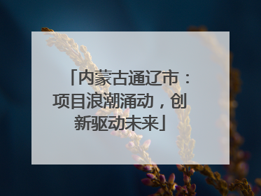 内蒙古通辽市：项目浪潮涌动，创新驱动未来