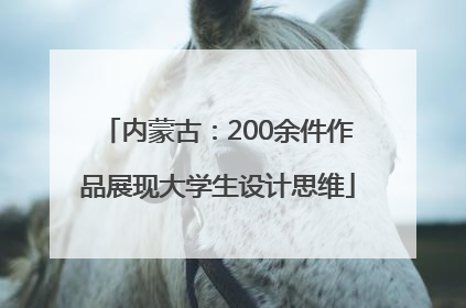 内蒙古：200余件作品展现大学生设计思维