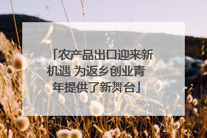 农产品出口迎来新机遇 为返乡创业青年提供了新舞台
