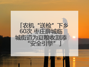 农机“送检”下乡60次 枣庄薛城临城街道为夏粮收割添“安全引擎”