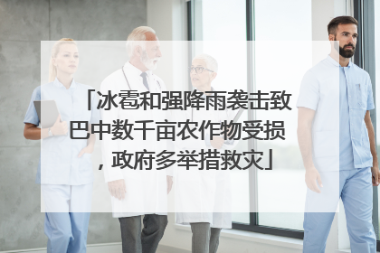 冰雹和强降雨袭击致巴中数千亩农作物受损，政府多举措救灾