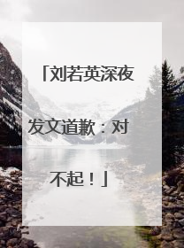 刘若英深夜发文道歉：对不起！