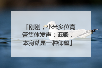 刚刚，小米多位高管集体发声：诋毁，本身就是一种仰望