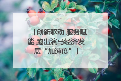 创新驱动 服务赋能 跑出演马经济发展“加速度”