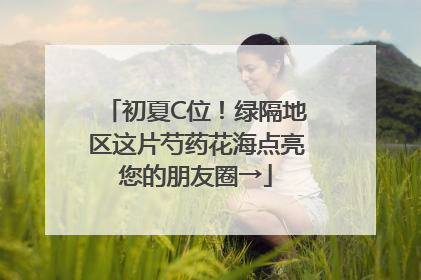 初夏C位！绿隔地区这片芍药花海点亮您的朋友圈→