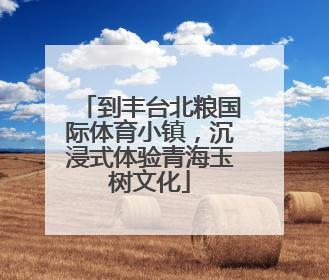 到丰台北粮国际体育小镇，沉浸式体验青海玉树文化