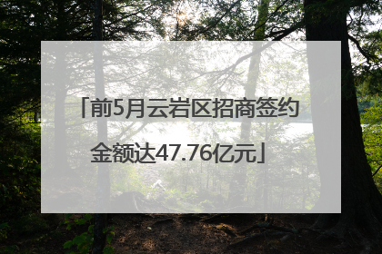 前5月云岩区招商签约金额达47.76亿元