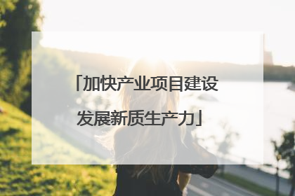加快产业项目建设 发展新质生产力