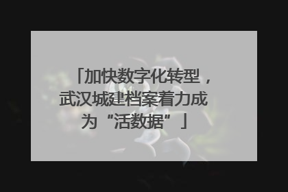 加快数字化转型，武汉城建档案着力成为“活数据”