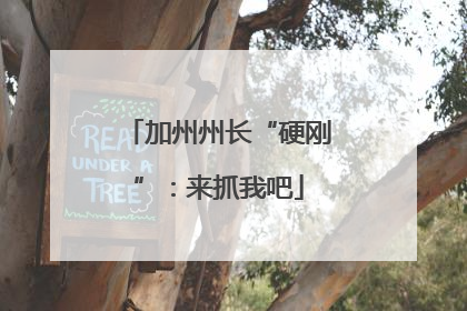 加州州长“硬刚”：来抓我吧