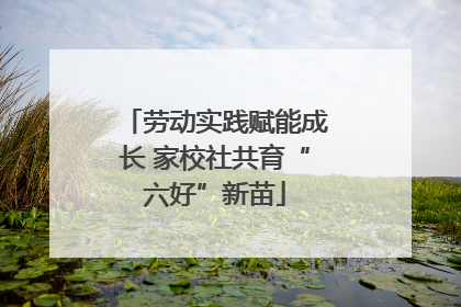 劳动实践赋能成长 家校社共育“六好”新苗