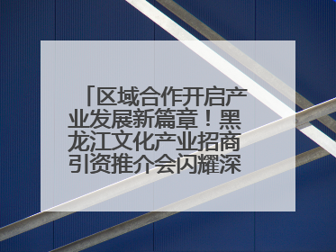 区域合作开启产业发展新篇章！黑龙江文化产业招商引资推介会闪耀深圳文博会