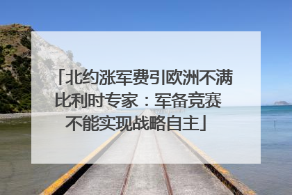 北约涨军费引欧洲不满 比利时专家：军备竞赛不能实现战略自主