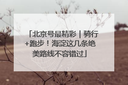 北京号最精彩｜骑行+跑步！海淀这几条绝美路线不容错过