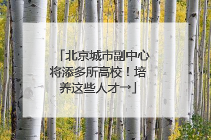 北京城市副中心将添多所高校！培养这些人才→