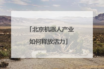 北京机器人产业如何释放活力