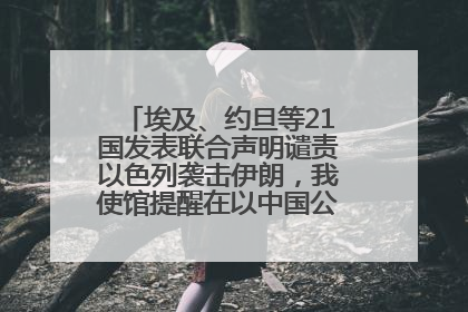 埃及、约旦等21国发表联合声明谴责以色列袭击伊朗，我使馆提醒在以中国公民尽快陆路离境