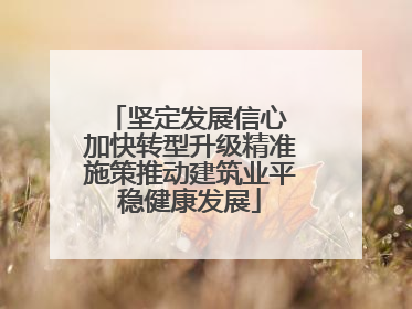 坚定发展信心 加快转型升级精准施策推动建筑业平稳健康发展