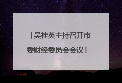 吴桂英主持召开市委财经委员会会议