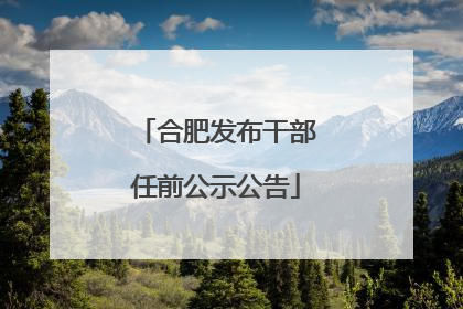 合肥发布干部任前公示公告