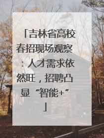 吉林省高校春招现场观察：人才需求依然旺，招聘凸显“智能+”