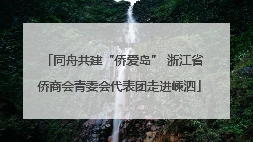 同舟共建“侨爱岛” 浙江省侨商会青委会代表团走进嵊泗