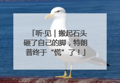 听·见｜搬起石头砸了自己的脚，特朗普终于“慌”了！
