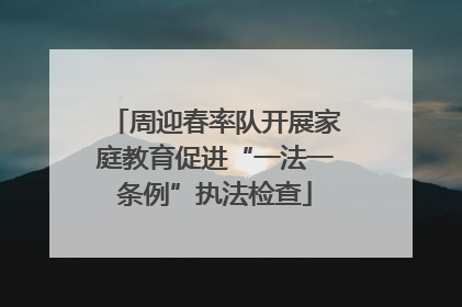周迎春率队开展家庭教育促进“一法一条例”执法检查