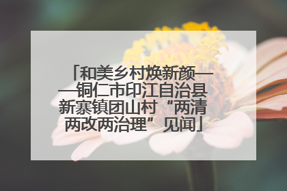 和美乡村焕新颜——铜仁市印江自治县新寨镇团山村“两清两改两治理”见闻
