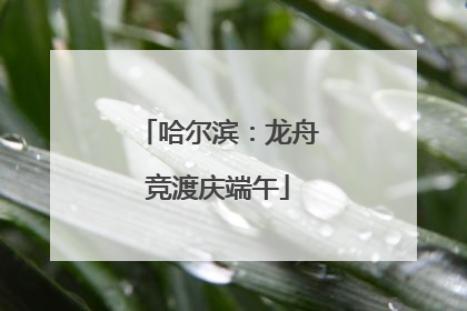 哈尔滨：龙舟竞渡庆端午