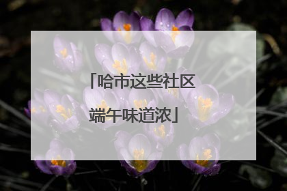 哈市这些社区端午味道浓