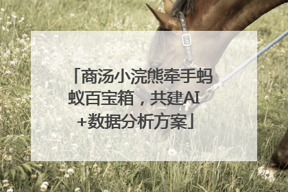 商汤小浣熊牵手蚂蚁百宝箱，共建AI+数据分析方案