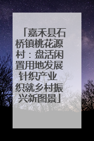 嘉禾县石桥镇桃花源村：盘活闲置用地发展针织产业 织就乡村振兴新图景