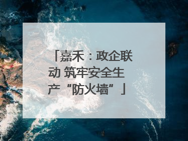 嘉禾：政企联动 筑牢安全生产“防火墙”