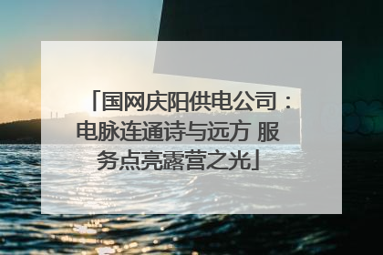 国网庆阳供电公司：电脉连通诗与远方 服务点亮露营之光