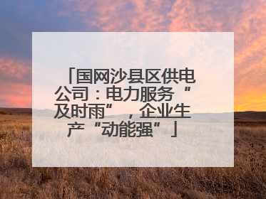 国网沙县区供电公司：电力服务“及时雨”，企业生产“动能强”