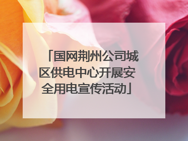 国网荆州公司城区供电中心开展安全用电宣传活动