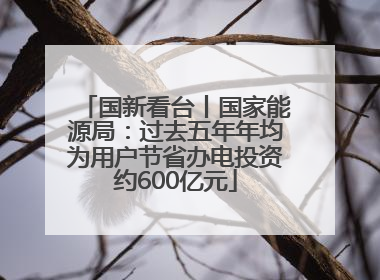 国新看台丨国家能源局：过去五年年均为用户节省办电投资约600亿元