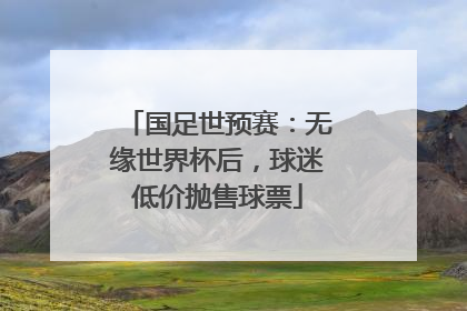 国足世预赛：无缘世界杯后，球迷低价抛售球票