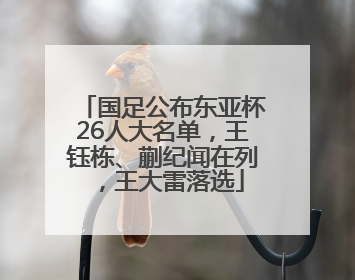 国足公布东亚杯26人大名单，王钰栋、蒯纪闻在列，王大雷落选