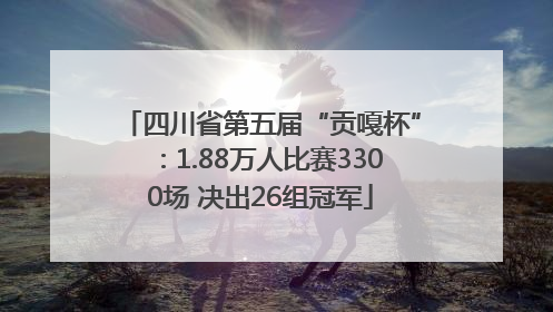 四川省第五届“贡嘎杯”：1.88万人比赛3300场 决出26组冠军