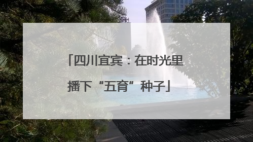 四川宜宾：在时光里播下“五育”种子