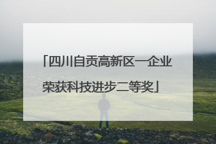 四川自贡高新区一企业荣获科技进步二等奖