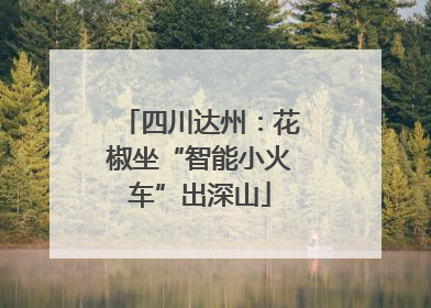 四川达州：花椒坐“智能小火车”出深山