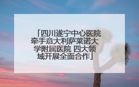 四川遂宁中心医院牵手意大利萨莱诺大学附属医院 四大领域开展全面合作