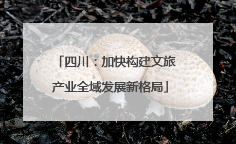 四川：加快构建文旅产业全域发展新格局