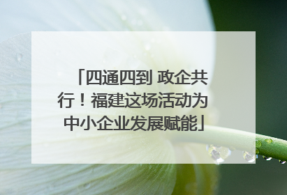 四通四到 政企共行！福建这场活动为中小企业发展赋能