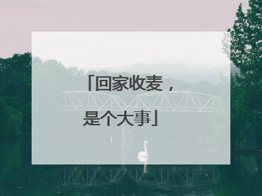 回家收麦，是个大事
