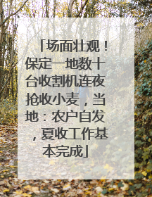 场面壮观！保定一地数十台收割机连夜抢收小麦，当地：农户自发，夏收工作基本完成