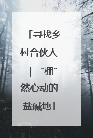 寻找乡村合伙人｜“棚”然心动的盐碱地